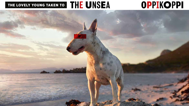 Oppikoppi 22 – For the lovely young taken to the unsea.