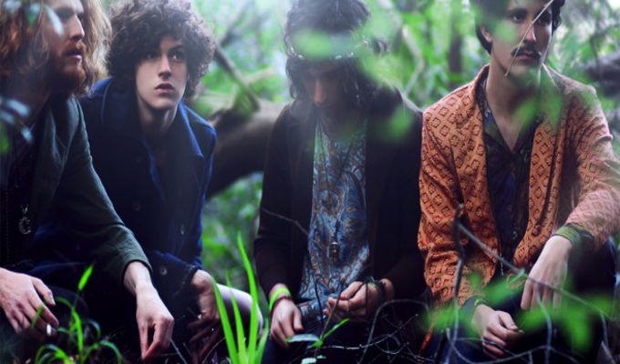 The Plastics: Everything but fake