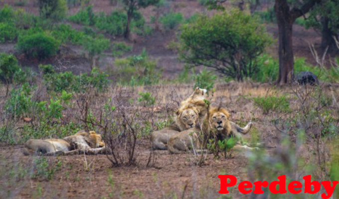 SANParks celebrates our natural heritage