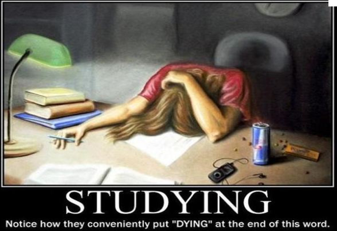 How to not let exams swallow you whole… and where to get help