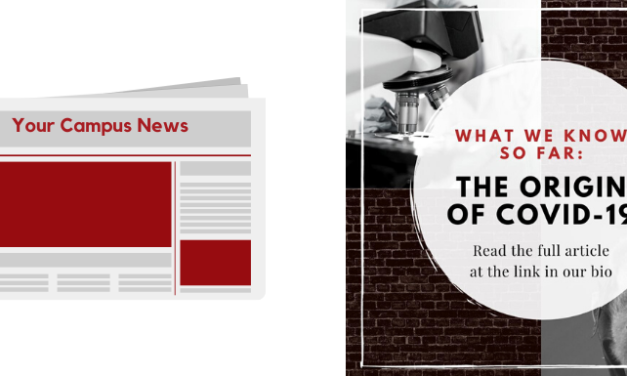 The origin of the coronavirus: What we know so far