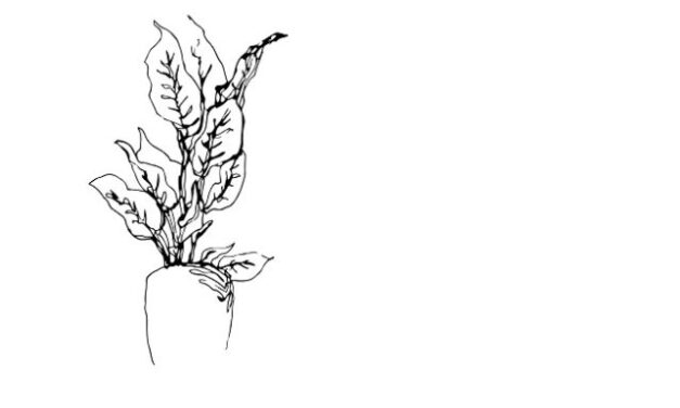 Poetry Corner: Laying in nature by Alexa Midnight