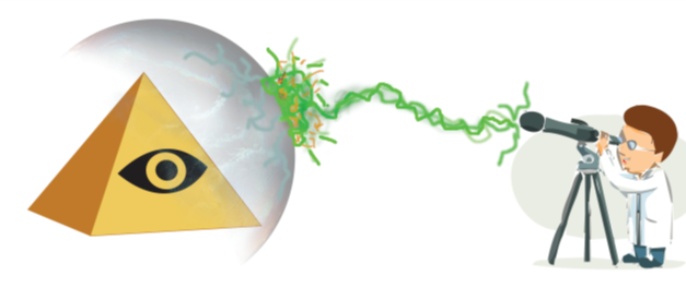 Conspiracy theories vs reality