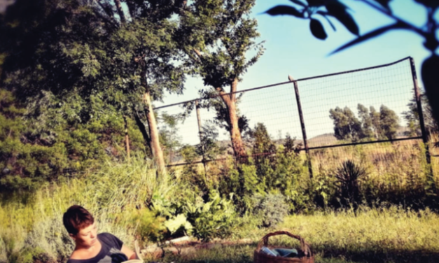 Try in Pretoria: Jan Cilliers Park