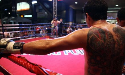 Boxing or Branding: The Controversial Rise of Celebrity Fighters